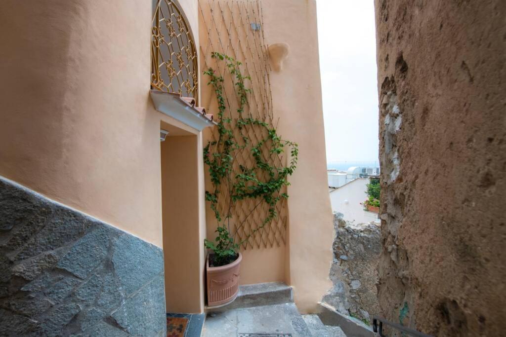 Il Giardino Dei Limoni Villa Positano Kültér fotó